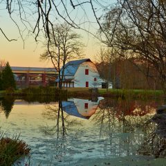 Barn