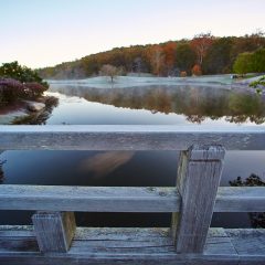 Lake House Bridge