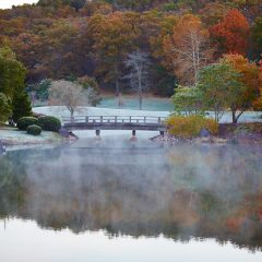 Lake House Bridge