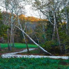 Gravel Road