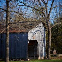 Barn