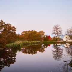 Barn Lake