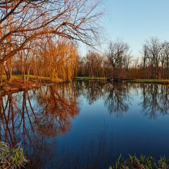 Lake