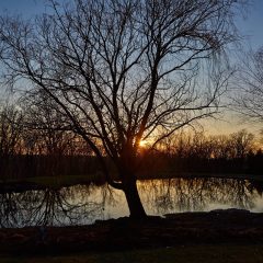 Lake Sunset