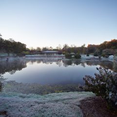 Lake House