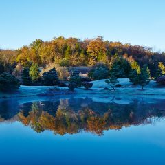 Lake