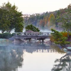 Lake House Bridge