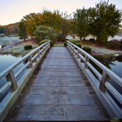 Lake House Bridge