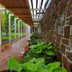 Botanicals 74