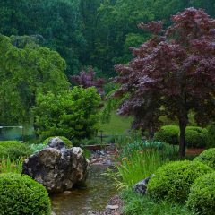 Botanicals 75