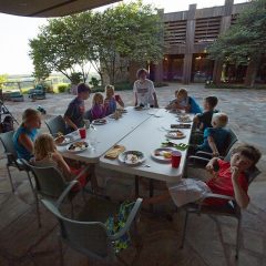 Fun at the Farm
