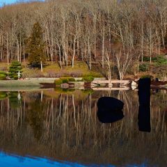 Lake House