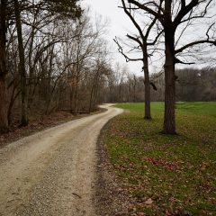 Gravel Road