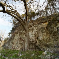 Cliffs