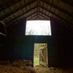 Barn