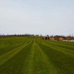 Golf Course
