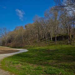 Gravel Road