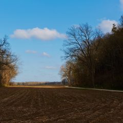 Fields