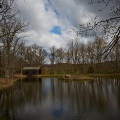 Covered Bridge