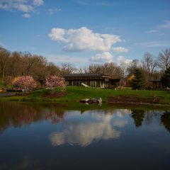 Lake House