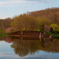 Lake House