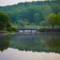 Lake House