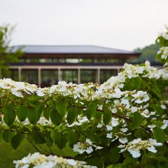 Lake House