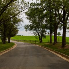 Road