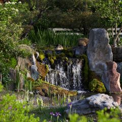 Lake House Waterfall