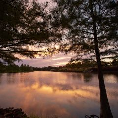 Lake Sunset