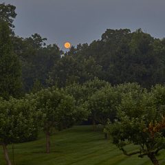 Horizon Moon