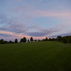 Field