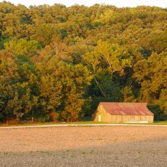 Barn