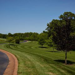 Golf Course