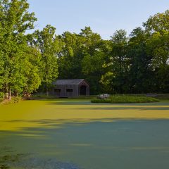Covered Bridge