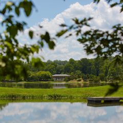 Lake House