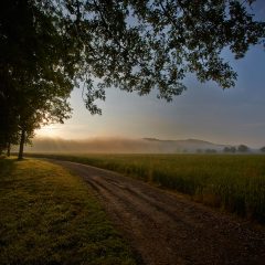 Gravel Road
