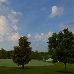 Golf Course