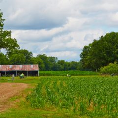 River House Bus/Barn