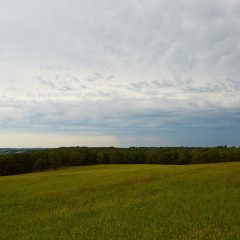 Field