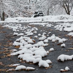 Road