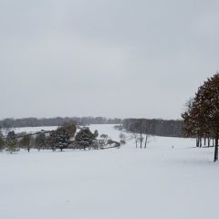 Golf Course