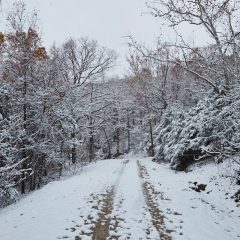 Gravel Road