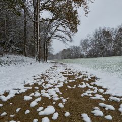Gravel Road