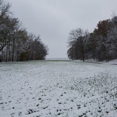 Fields