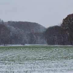 Fields