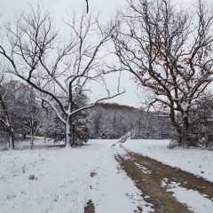 Gravel Road