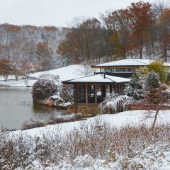 Lake House