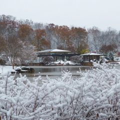 Lake House