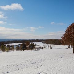 Golf Course